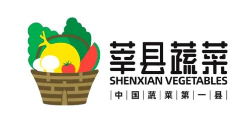 莘縣蔬菜裝進濟南 菜籃子 ,每年定向供應1000萬元新鮮蔬菜