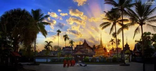 精品純玩親子叢林探秘之旅 5天4夜游