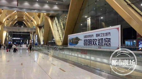 3 15 特別報道 糟心的純玩團 導游旅游車上公然賣產品,還稱 感謝不能放在嘴上