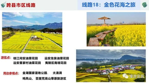 樂游宜昌,四季精彩 宜昌20條休閑農業(yè)精品線路發(fā)布