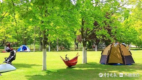 雨后賞新綠,濟(jì)南植物園草青花紅游客們玩得爽