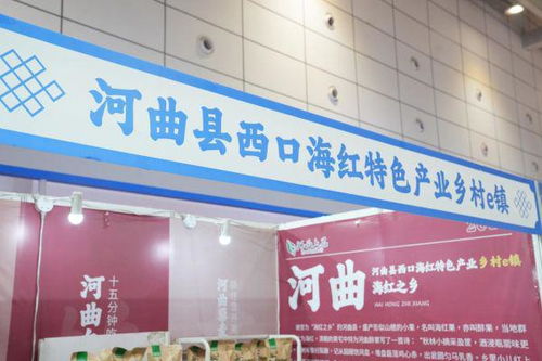 賦能未來 河曲農特產品閃耀2023中國休閑食品飲料博覽會