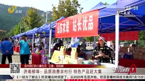 濟南九州游旅行社引領“品質消費農村行” 各地特色產品趕大集，促進消費助貧困戶增收